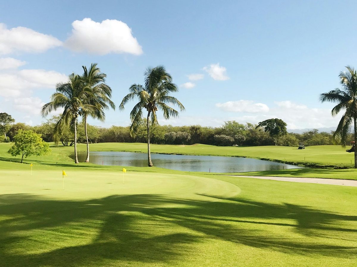 Palm trees, a lake and long afternoon shadows across a fairway