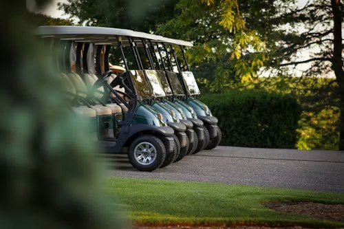 A row of golf carts parked beside a clubhouse path
